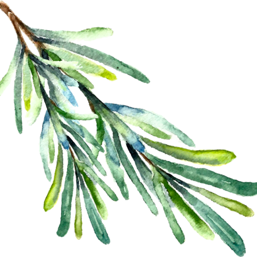 About S&Z Spice & Zest