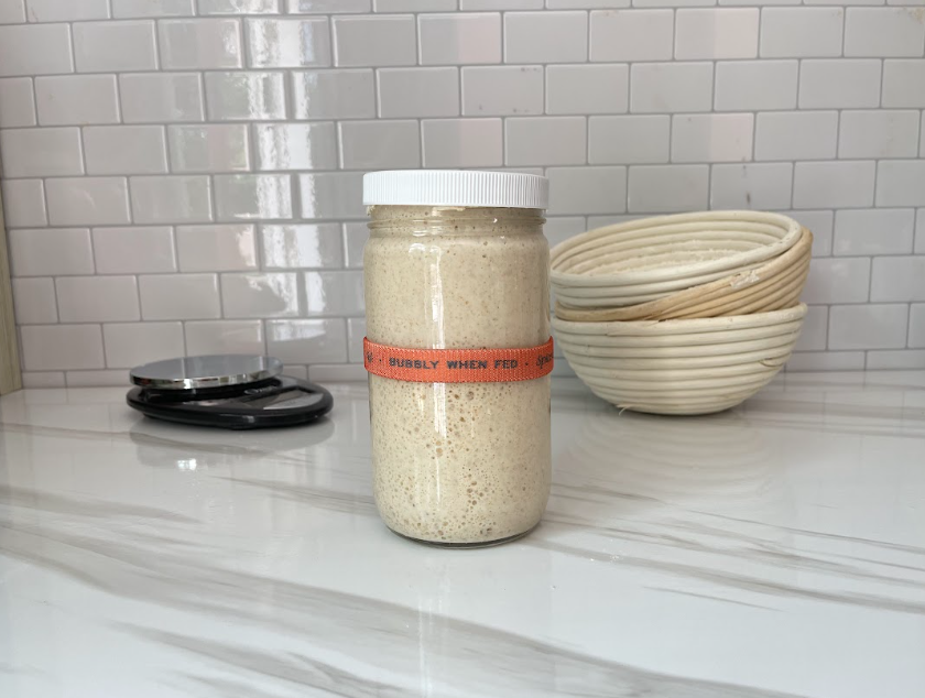 Sourdough Starter Kit ~ Spice & Zest