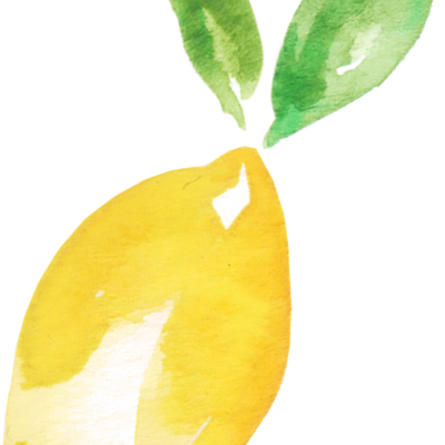drawing of lemon