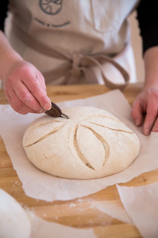 Sourdough Starter Kit ~ Spice & Zest