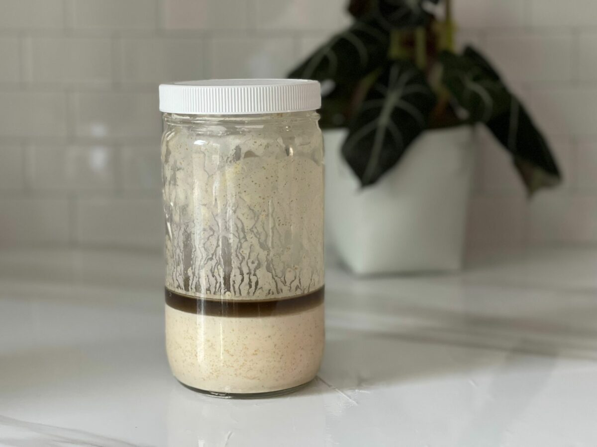 Sourdough Starter Comprehensive Guide